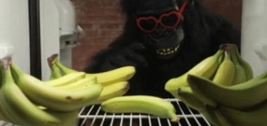 Миф об обезьянах, бананах и ледяном душе